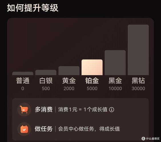 Java如何实现外卖平台会员等级的精细化管理功能？