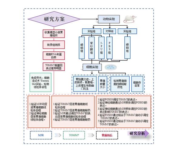 如何深入分析Yii2框架中视图操作与布局（Layout）的运用技巧？