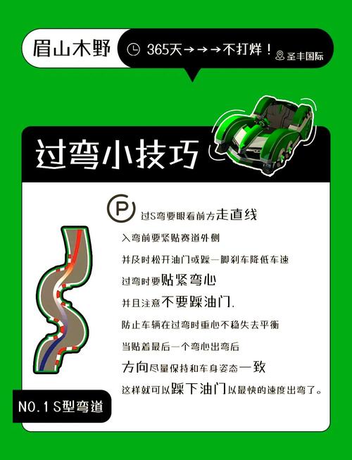 如何通过案例解析掌握虚拟赛道攻略的新手必学技巧？