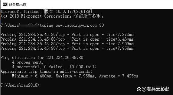 如何解决安装VisualSVN Server时提示指定的TCP端口被占用的问题？