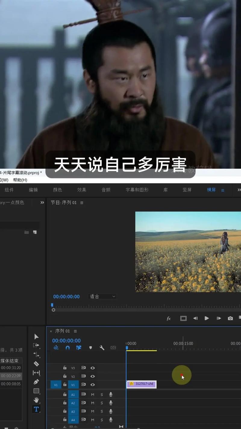 Emby字幕插件首选，如何轻松实现一触即达的完美体验？