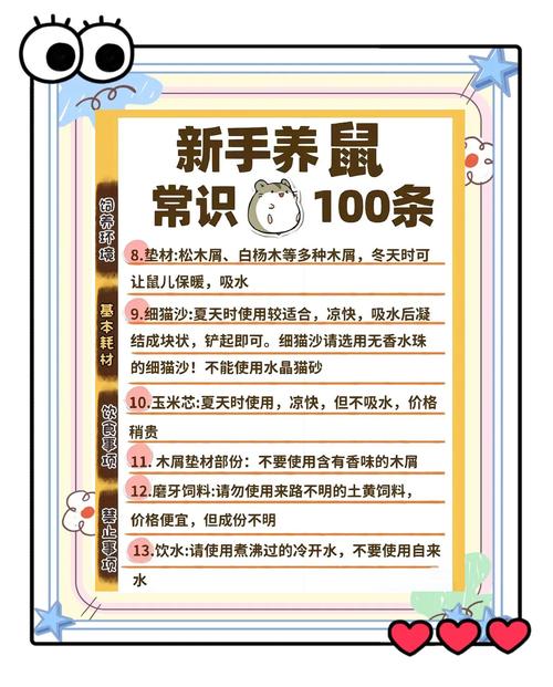 胖鼠如何从圆润蜕变为小巧，开启健康生活之旅？