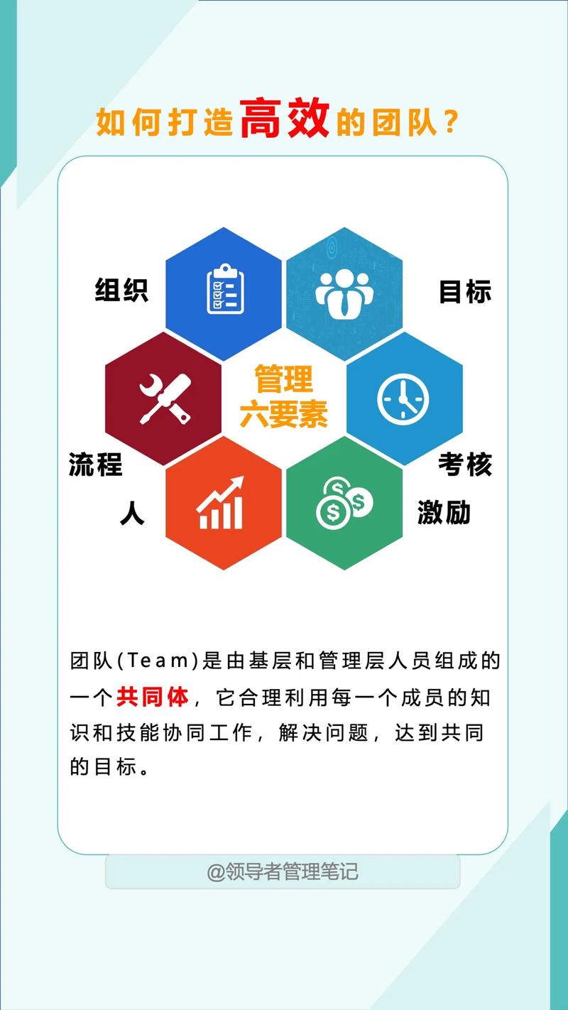 如何组建专业团队高效建站并确保品质保障？