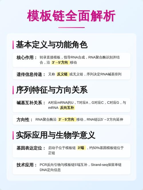 如何通过typedef和using定义类型别名及别名模板？