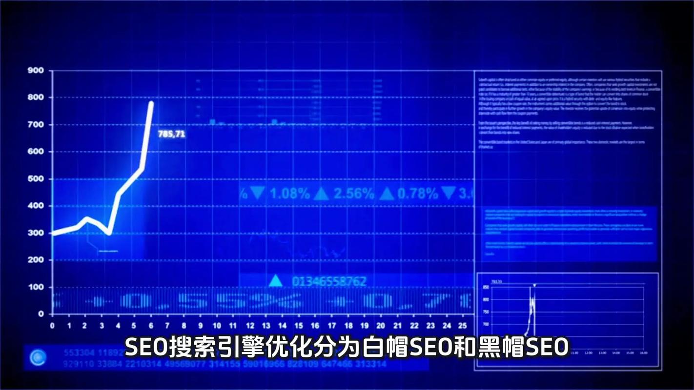 如何选择一家专业的公司进行白帽SEO服务？