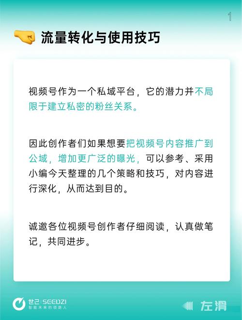 短视频流量神器，网络营销先锋，如何成为？