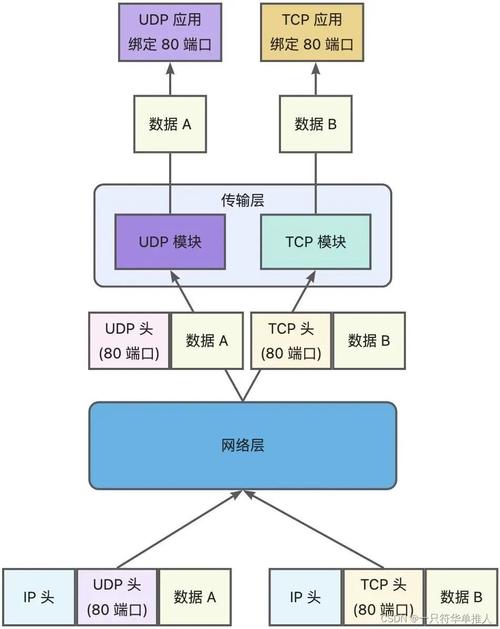 TCP/IP协议与Socket编程有何具体应用场景？
