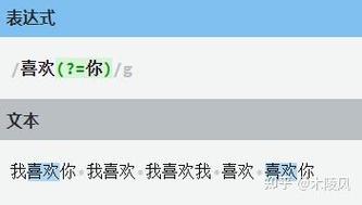 如何区分正则表达式中的分组、子匹配、非捕获及其应用场景？