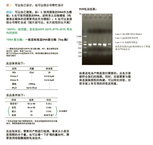 PHP中如何详细解析PCRE正则表达式？