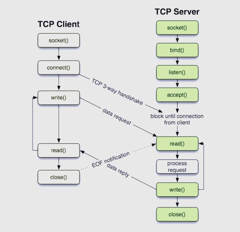 Socket-Tcp在网络通讯中的应用原理是怎样的？