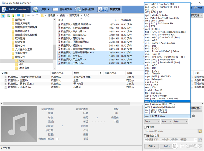 Linux与Windows下如何修改wav文件元数据及专辑封面信息？