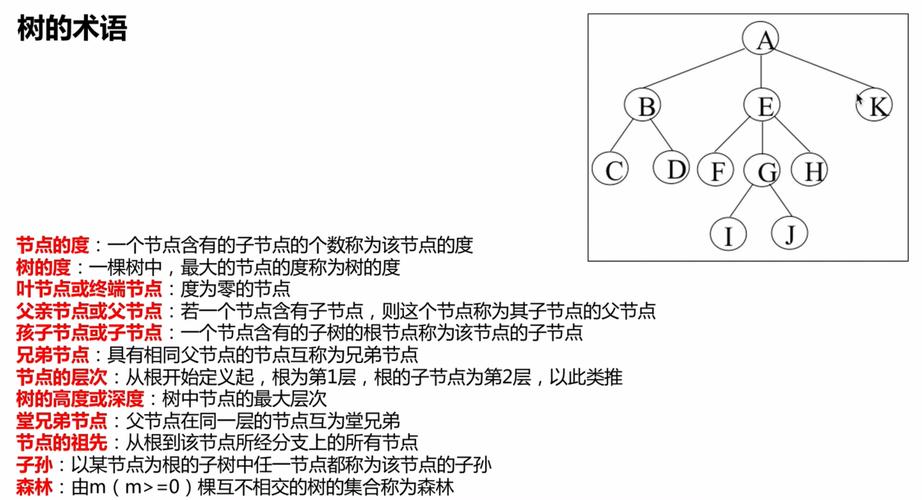 二叉树遍历的终极方法有哪些？