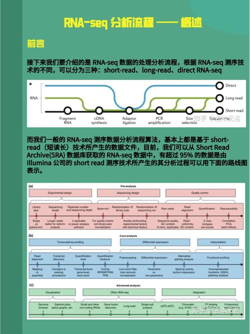 如何撰写AtCoderGC038BSortingaSegment的详细解题步骤报告？