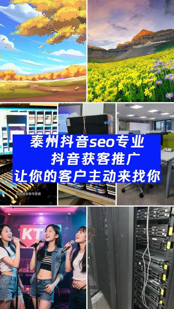 泰州SEO价格优，服务专业高效，哪家公司能提供这样的服务呢？