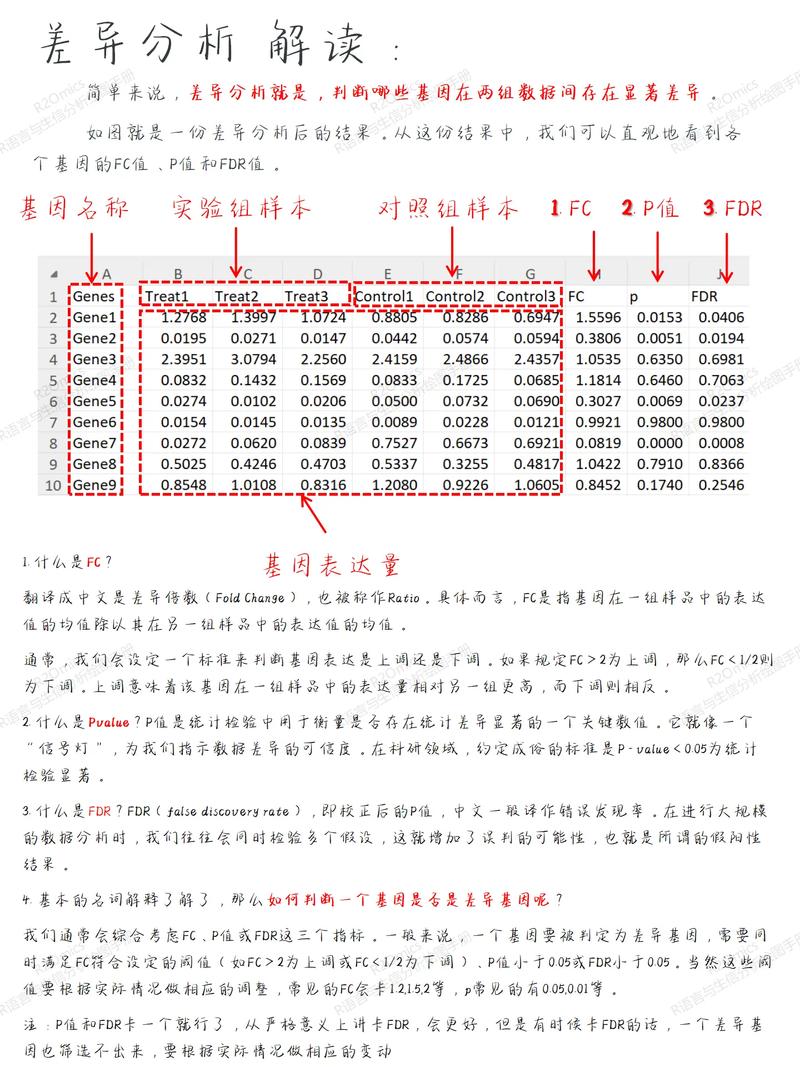 如何比较CakePHP和Phalcon在PHP框架创新功能上的差异？