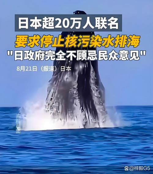 谁质疑黑客组织Anonymous针对日本核污水排放的网络攻击行动？