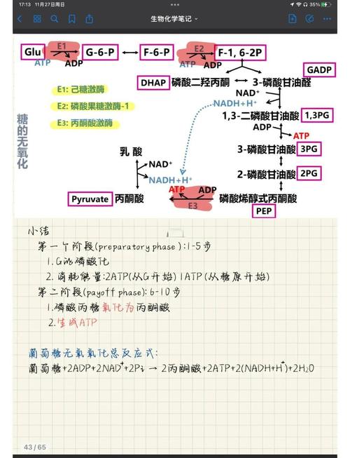 JS中class语法糖的原理和应用如何深入理解？