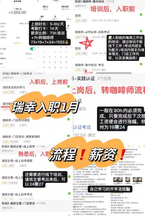 高薪SEO秘诀是什么？揭秘薪资背后的关键因素？