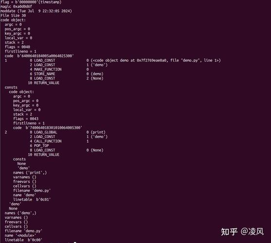 Python虚拟机中pyc文件的结构是怎样的？