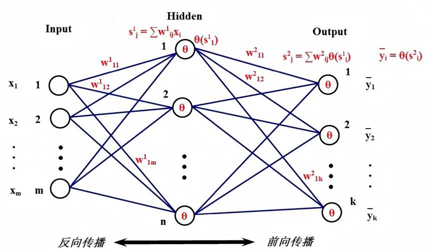 如何介绍神经网络及其模型搭建过程？