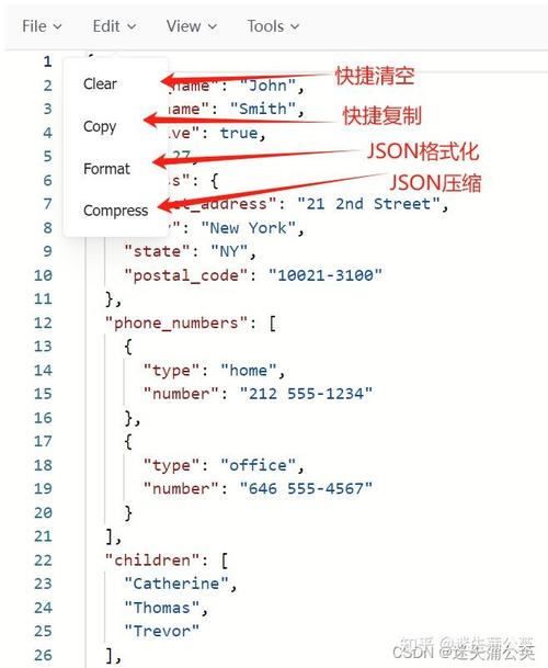 如何将JSON报文自动转换为Java源码，同名类以下划线连接？