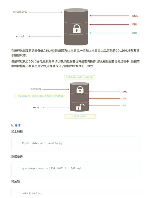 如何全面掌握MySQL中的锁机制、事务处理及并发策略？