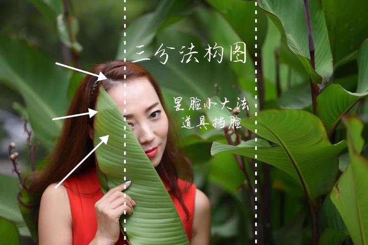 如何拍摄出吸引眼球的点击主图，掌握高效点击拍摄秘籍？