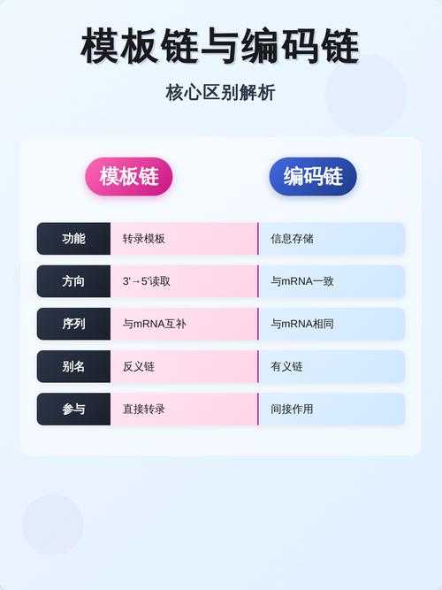 如何通过typedef和using定义类型别名及别名模板？