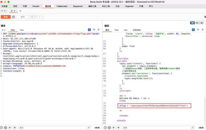 PHP中preg_replace函数如何实现复杂模式替换的详细解析？