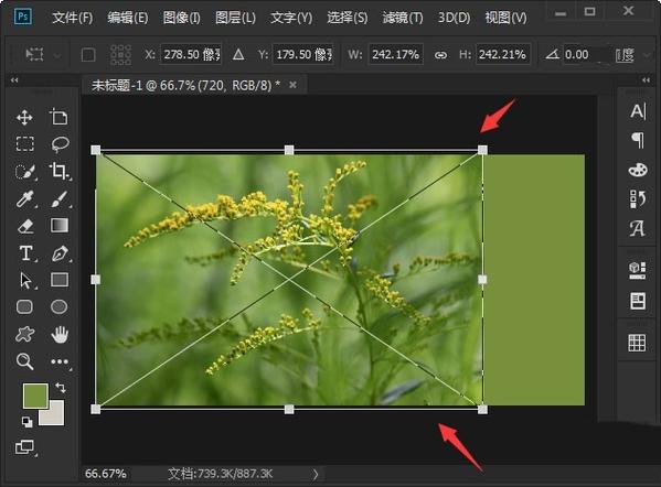 Gitee上传到什么程度会显示为深绿色？