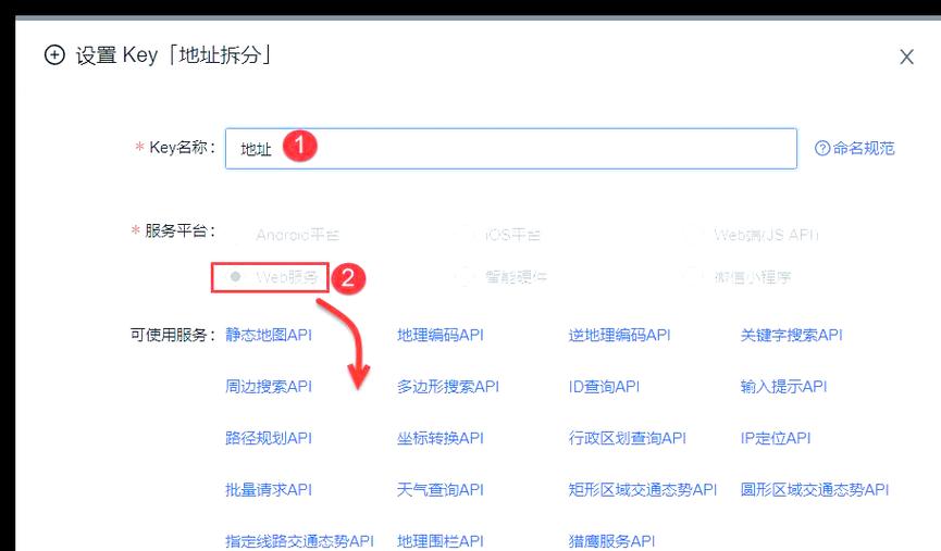 如何利用高德地图API获取特定道路上的完整坐标序列？