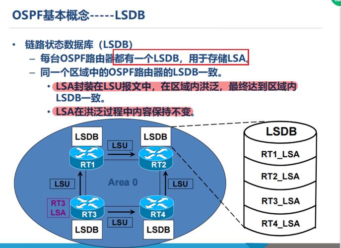 HCIA网络基础中，OSPF协议的具体应用场景有哪些？