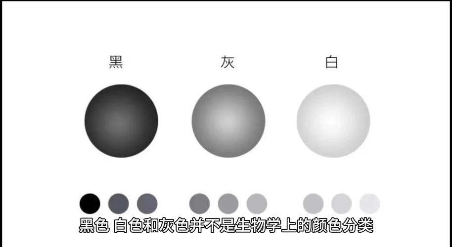 灰色行业如何实现黑转白，迈向优化升级之路？