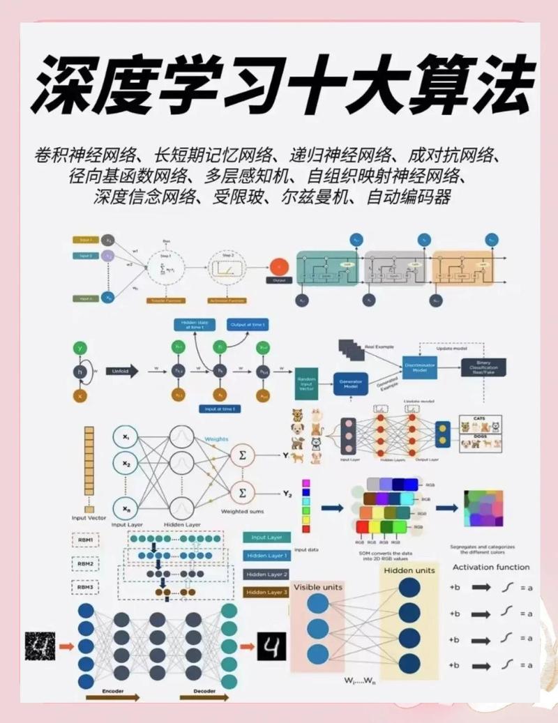 《图》算法专题C的深入探讨有哪些？