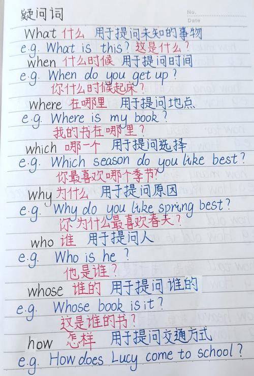 s New这个词组可以为：这个s New是什么意思？