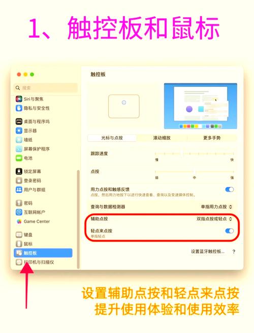 如何将苹果电脑设置为同时运行Windows和macOS系统？