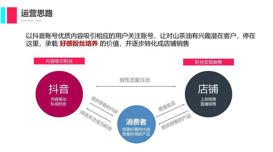 如何通过精准定位快速吸粉，有效推广新网站？