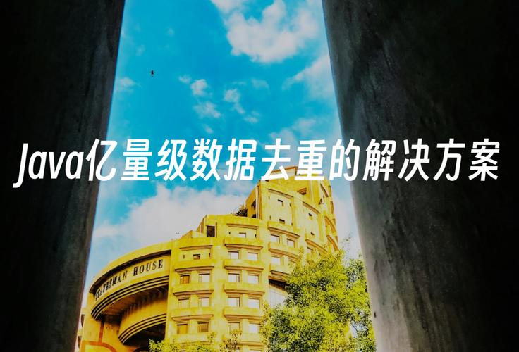 如何使用Java Bitmap实现图像去重功能？