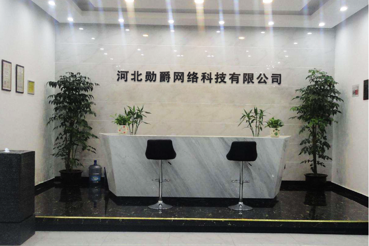 在沧州做SEO，哪家公司最受欢迎？