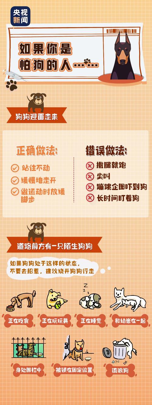 全国范围内推广青岛独狗新规，是否真的势在必行呢？