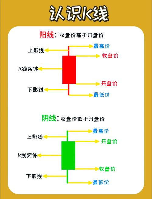 如何快速掌握vtk_C入门技巧？