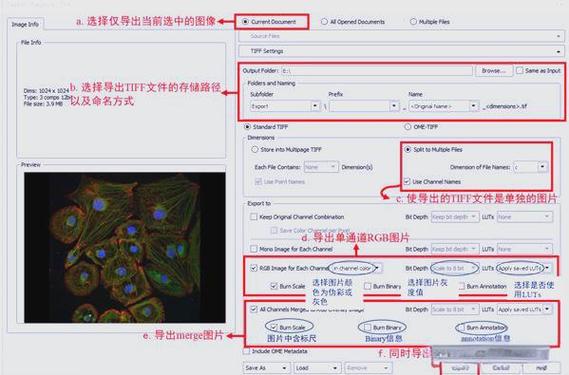 如何使用Node.js读取图片并发送给浏览器进行展示？