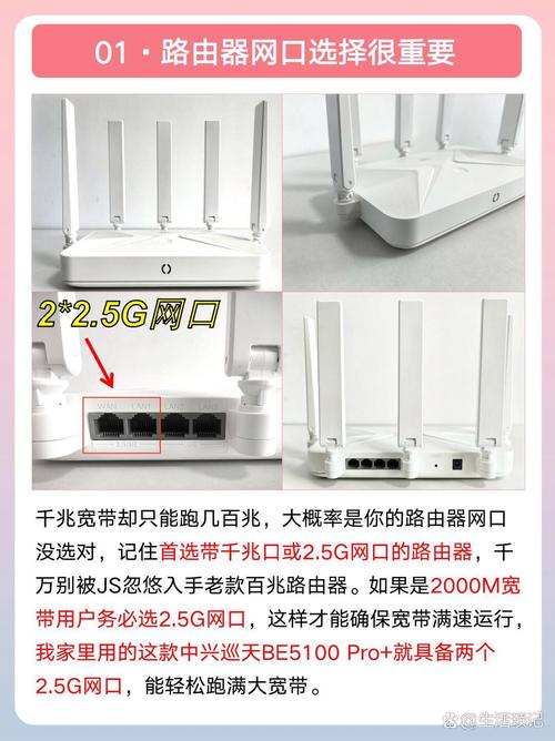 laravel中api与web路由配置有何具体差异及详细解析？
