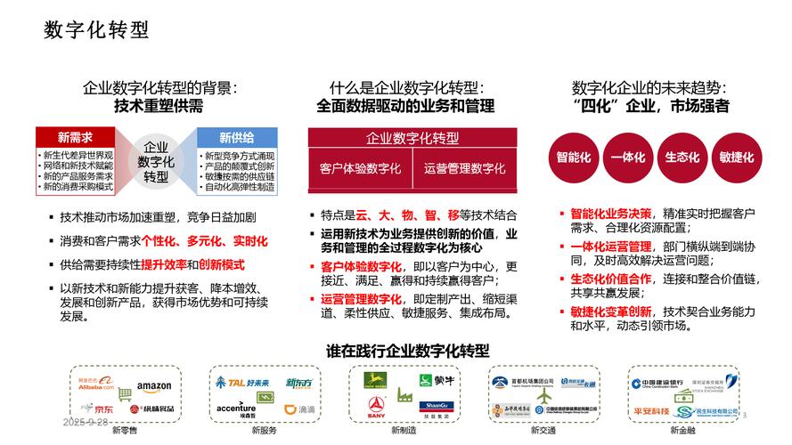 如何通过赋能企业实现数字转型，引领SEO走向未来？