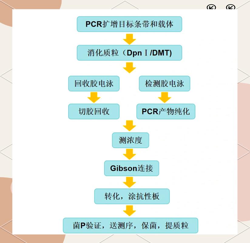 PHP单例模式如何实现防止继承和克隆？