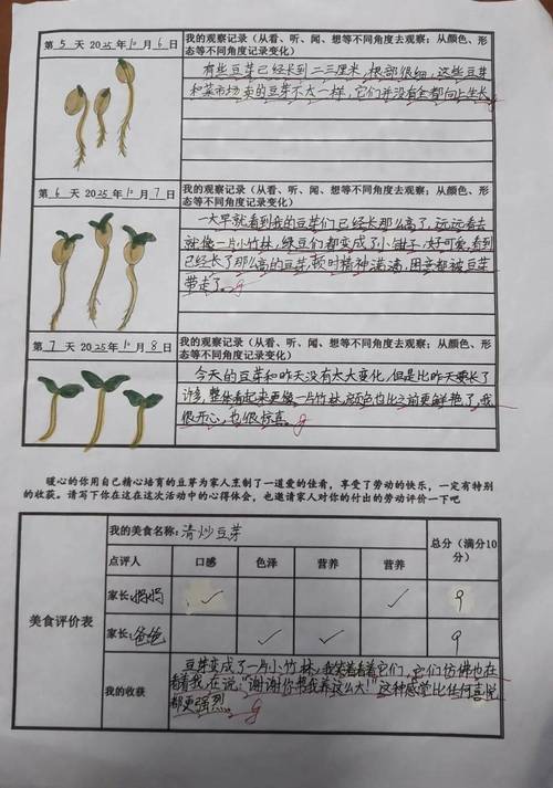 如何编写小麦苗健康检查的长尾词脚本说明？