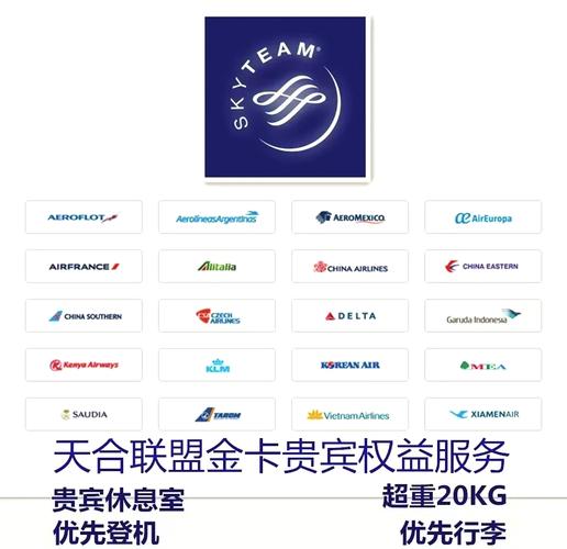 公务/私人飞机共享平台领航者，哪家服务最值得信赖？