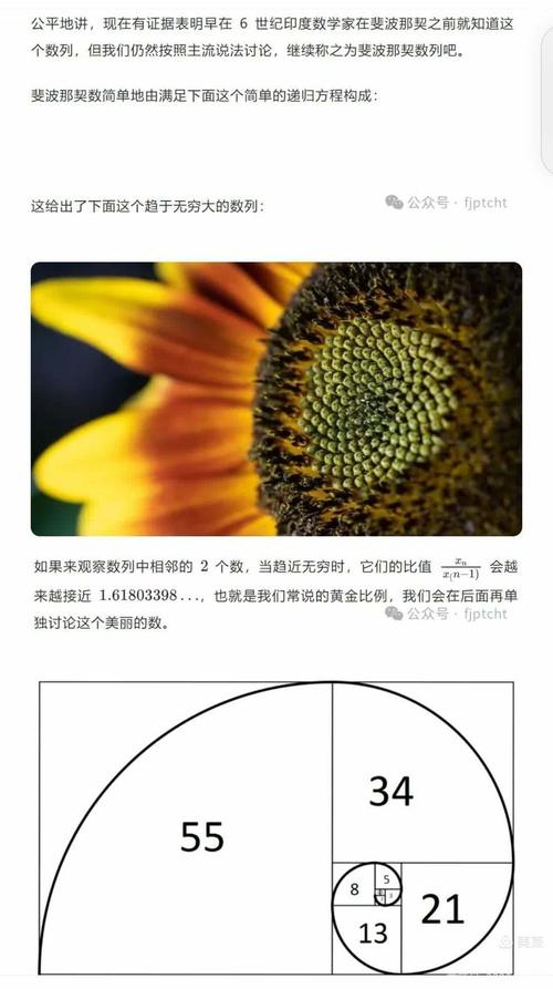 斐波那契数列中，组数版的特点有哪些？