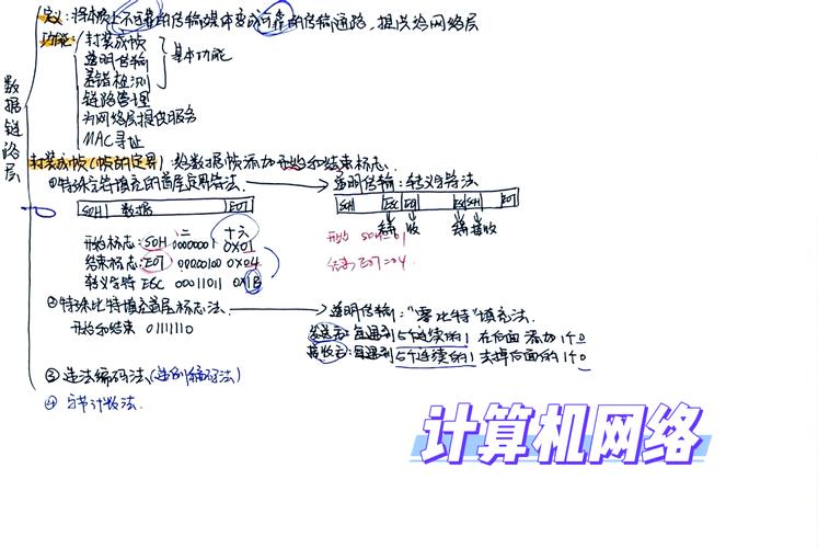天勤计算机笔记中，计算机网络概述部分有哪些关键点？