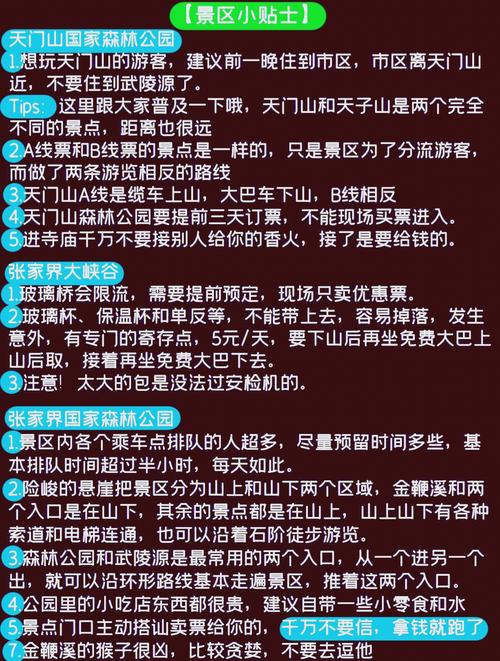 张家界SEO优化，晋源区价格优惠，哪家服务更专业？